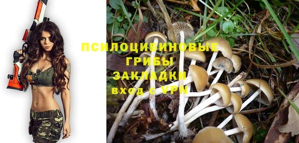 шишки Алзамай