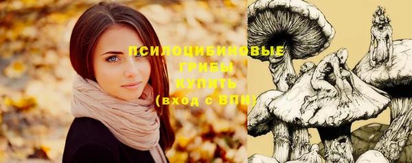 шишки Алзамай