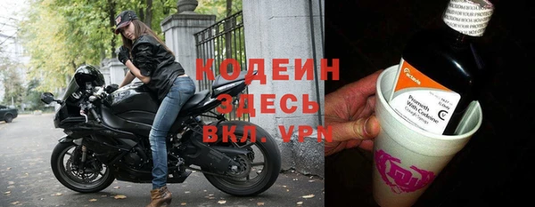 прущие грибы Пересвет