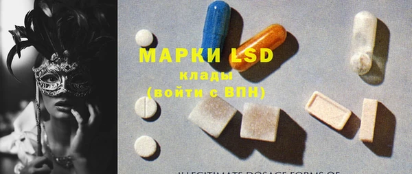 шишки Алзамай
